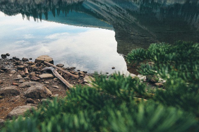 Technology Upgrade That Will Change Everything in 2025