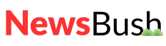 NewsBush