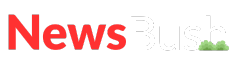 news bush web logo in red and white color