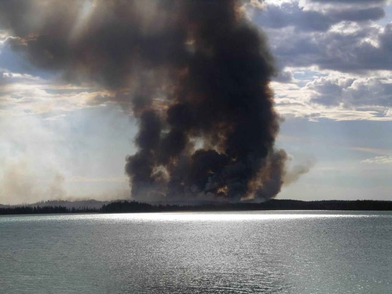 Smoke rising from a forest fire